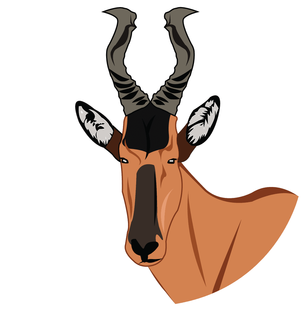 Toras Technologies logo